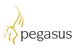 pegasus png